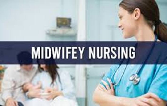 Global Meeting on Nursing Science and Midwifery