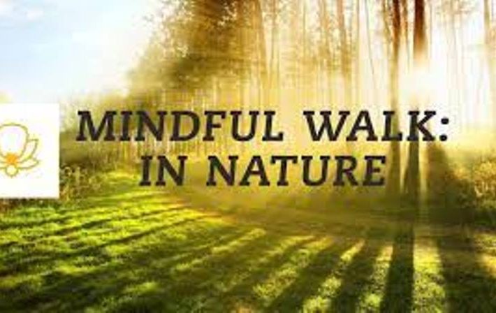 Mindfulness in Nature Walk