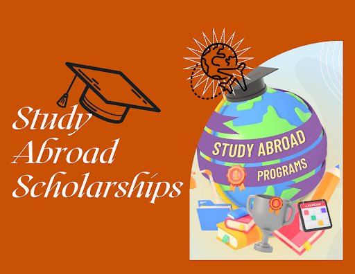 SCHOLARSHIPS TO STUDY ABROAD