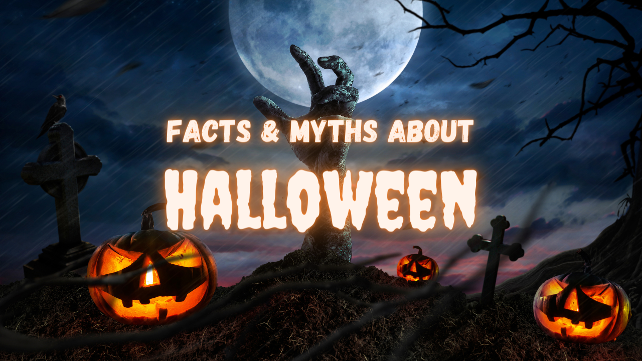 Halloween - Trick or Treat