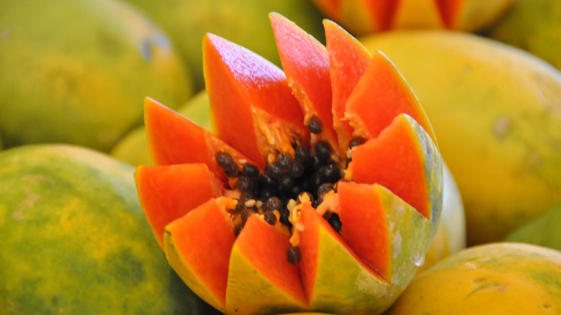 Papaya Fruit