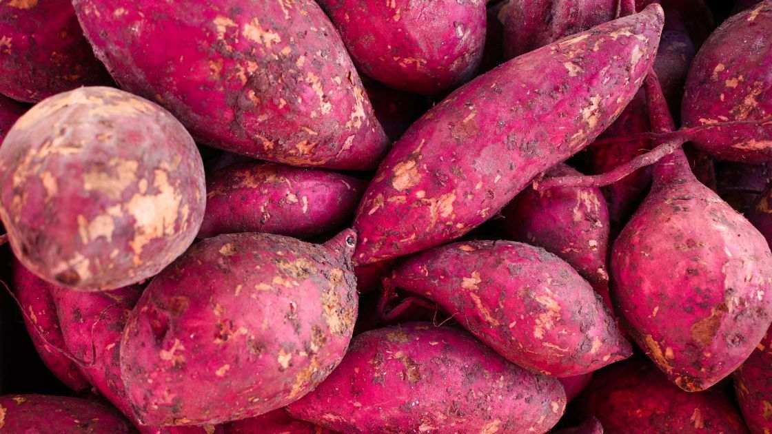 Sweet potatoes