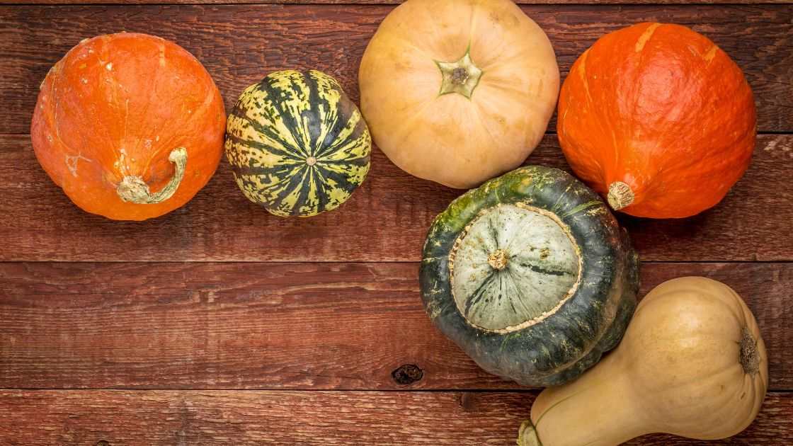 Squash