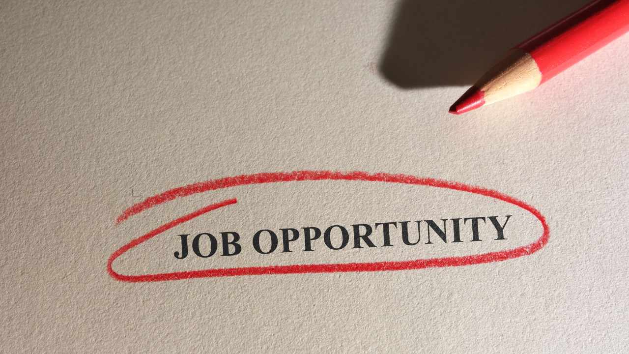 Job Opportunities in India