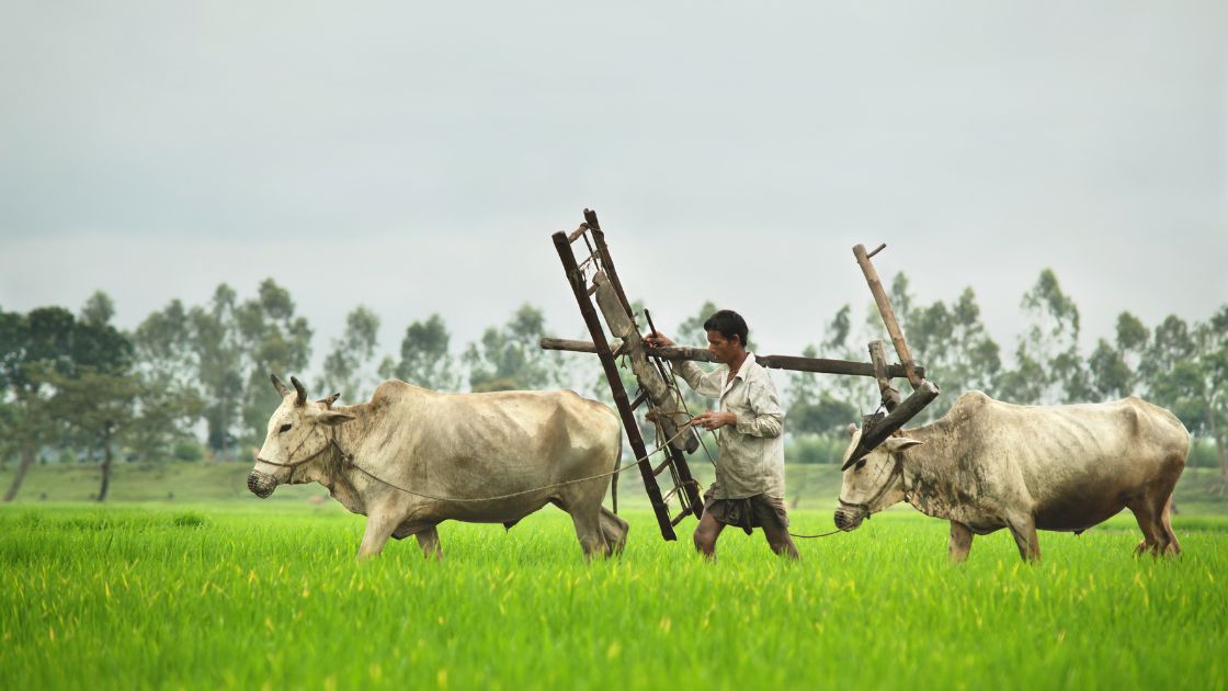 Anna Daata Sukhi Bhava