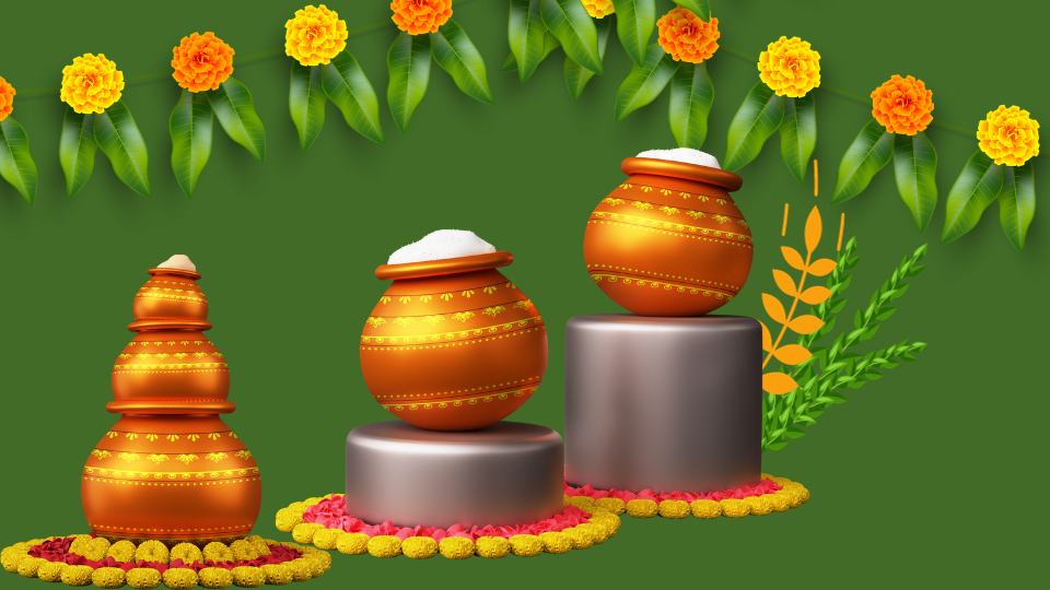 Rituals And Celebrations Of Pongal