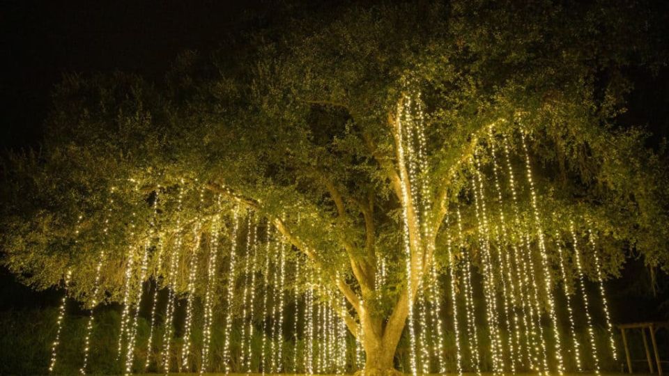 Solar-Powered LED String Lights For Diwali